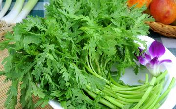 【茼蒿】茼蒿的營養價值_茼蒿怎么做好吃_茼蒿的做法大全_茼蒿怎么吃