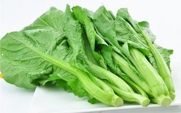 【芥菜】芥菜的功效與作用營養價值_芥菜怎么做好吃_芥菜的做法大全 【芥菜】芥菜的功效與作用營養價值_芥菜怎么做好吃_芥菜的做法大全