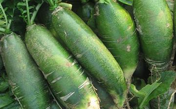 【青蘿卜】青蘿卜的營(yíng)養(yǎng)價(jià)值_青蘿卜怎么做好吃_青蘿卜的做法大全