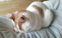 教你如何防止抽煙帶來(lái)的危害