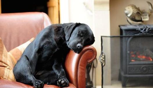 頭發不干就睡覺會有這些危害