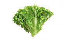 冬季多吃這些蔬菜來養生