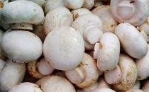 女性秋冬如何養陰 入秋女性進補九大忌