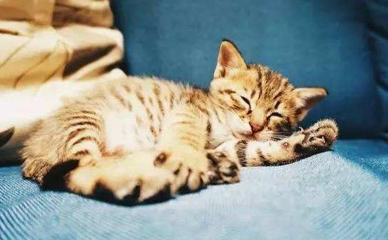 昏睡怎么辦？什么是昏睡癥