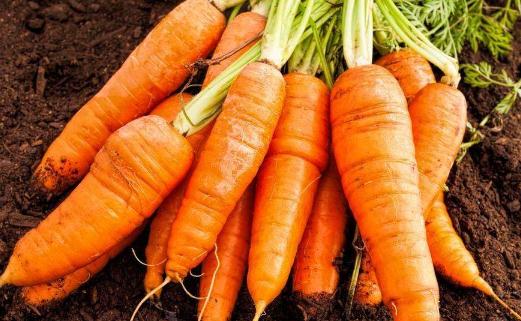 卵巢早衰如何調(diào)理 保養(yǎng)卵巢別犯5禁忌