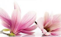 ?盤點婦科疾病會帶來的危害