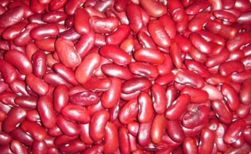 養胃吃啥好 9種食物來護胃