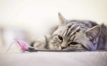 千萬別盲目相信“養生妙方”