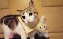 性格太好強容易患高血壓？