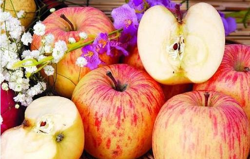 孕婦不可食用木瓜 性寒易引發流產