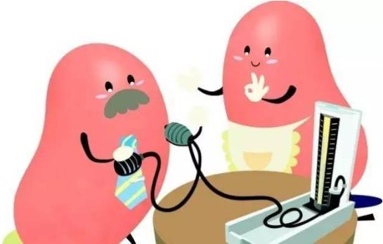 腎好才是硬道理 日常保護(hù)腎臟的方法