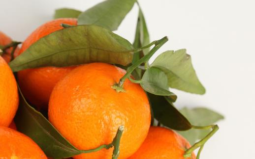 十種可以快速刮油的食物 減肥一定要常吃