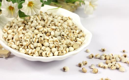 薏米吃對了除濕益氣，試試這幾個薏米的食療方