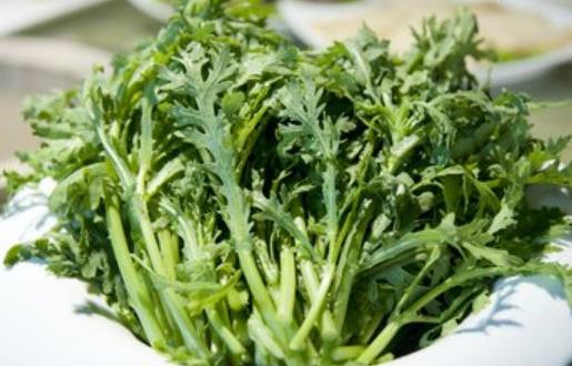 將炒青菜改為水煮青菜 烹調蔬菜也有小技巧