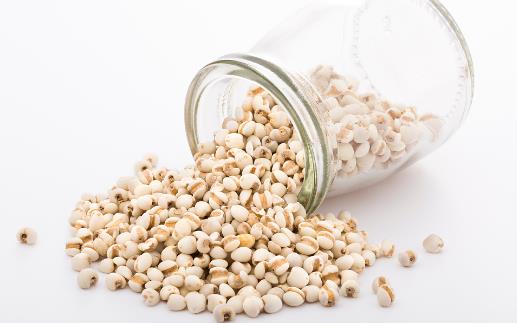 大小薏米功效不同 正確選薏米的妙招