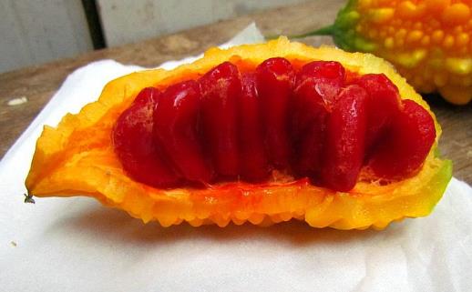 3種被外國人深深誤解的中國水果！西瓜排第1名，網友：心疼