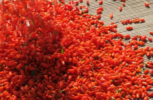 女人臉上斑點產生的原因以及消除方法