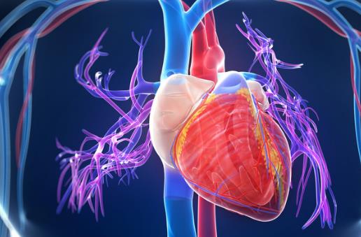 人各部位衰老竟是從這時候開始的