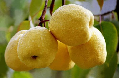 癌癥會傳染嗎？這些事做不好當(dāng)心癌癥找上你