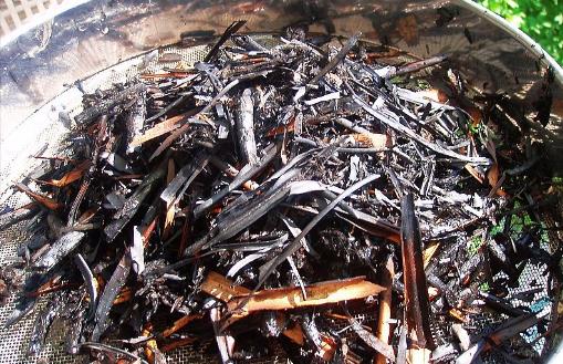 施草木灰對養花的好處 正確使用草木灰的竅門