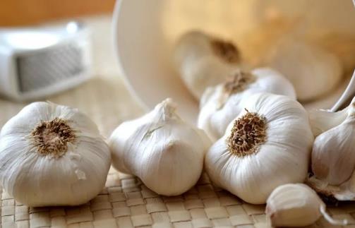 大蒜不只用來調料 大蒜養花促進發芽殺死蚜蟲