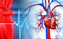 最佳血管養護時間表 養好血管健康更長壽