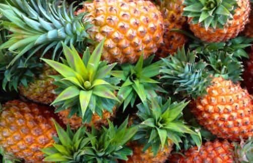 減肥愛好者因減肥被送院 掌握正確的減肥方法很重要