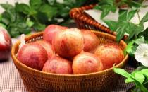 蘋(píng)果爛了一塊整個(gè)都不能吃了 快了解蘋(píng)果爛掉的原因