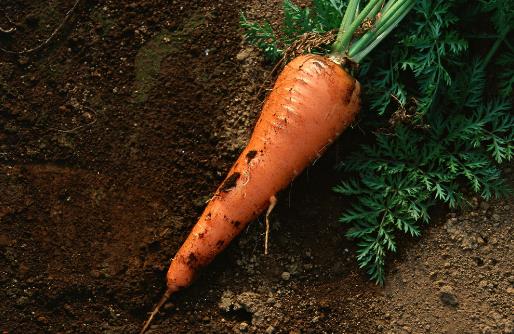 重金屬怎么排出體外 去除小方法