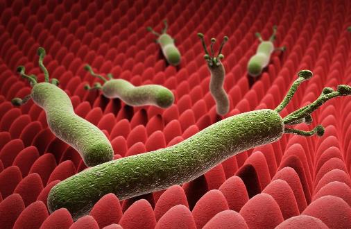 體內(nèi)有幽門螺桿菌，身體往往有五個(gè)標(biāo)志，占的越多，胃癌