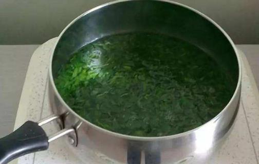 艾葉不只用來(lái)泡腳艾灸制作美食 養(yǎng)生功效也不容小覷