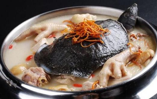 胖人補氣瘦人補血不是任何人都適合 存在虛不受補