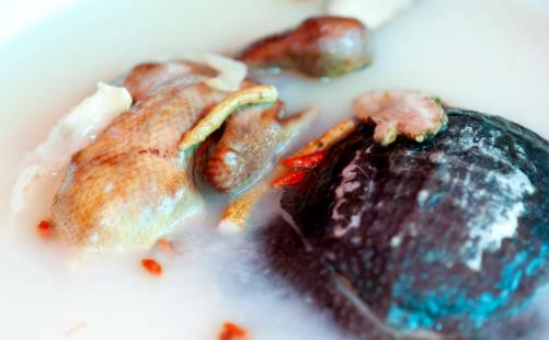 乳鴿湯的做法 這六種簡單易做