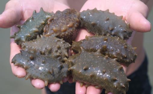 不宜喝奶補(bǔ)鈣的人群 改吃高鈣食物也能補(bǔ)