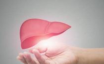 養肝小錦囊適合日常調理 養肝護肝6道食療粥