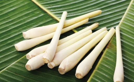 不能過(guò)量食用的蔬菜 過(guò)量吃胡蘿卜易引起胡蘿卜血癥