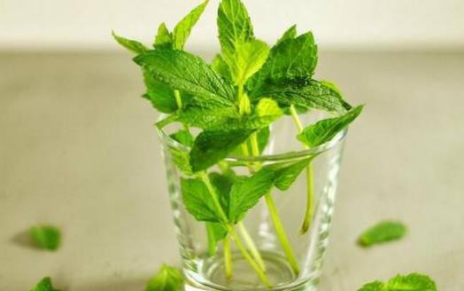 老人護(hù)牙必須知道的7個(gè)誤區(qū) 能保護(hù)牙齒的9種食物