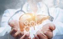 養好肝身體康牢記2要3不要 肝臟排毒與微循環揭秘