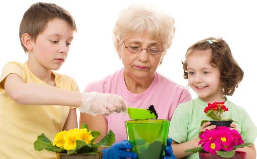 老年人養殖花草的好處 適合老人養的花草