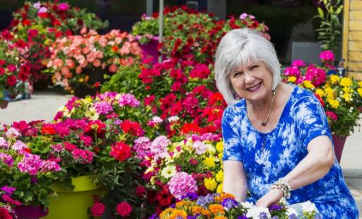 老年人養殖花草的好處 適合老人養的花草