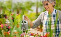老年人養殖花草的好處 適合老人養的花草