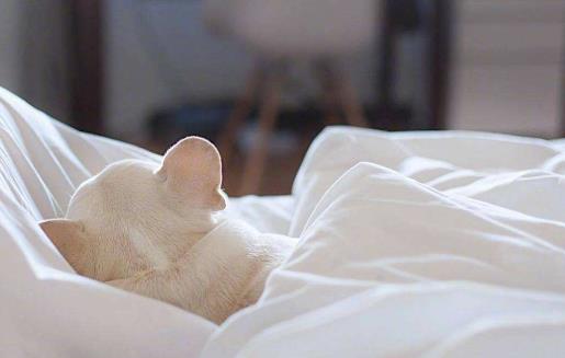 賴床是身體發出的不健康信息 改掉這個壞毛病的建議