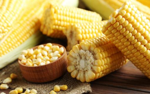 瘦身不誤豐胸簡易舉重幫大忙5大平價食材“漲”胸有奇效