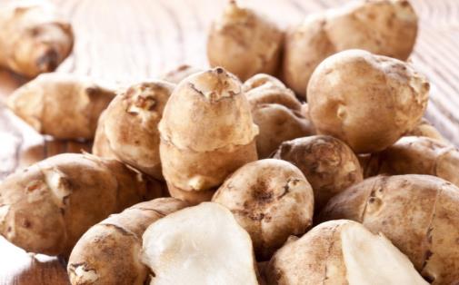 紫色洋姜與白色洋姜的區別 洋姜簡單美味下飯的做法