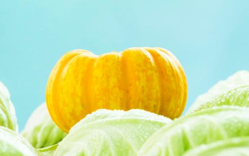 容易長胖的7種早餐 營養的減肥早餐食譜推薦