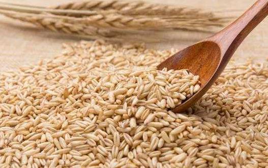 午餐要重視營養搭配 減肥午餐攻略