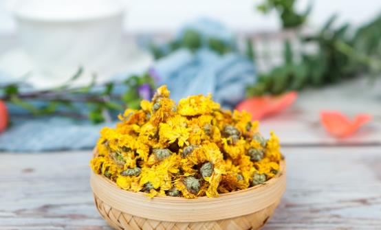 菊花茶可不可以天天喝 喝菊花茶需要隨泡隨飲不要隔夜