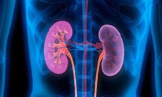 要想腎臟芳華永駐 提倡在沒病時就做好預防