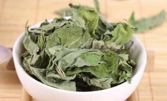 薄荷菜的五種美味做法 食用薄荷菜的禁忌