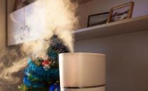 ?你的房間缺水了怎么辦 快來(lái)選一個(gè)適合你的加濕器